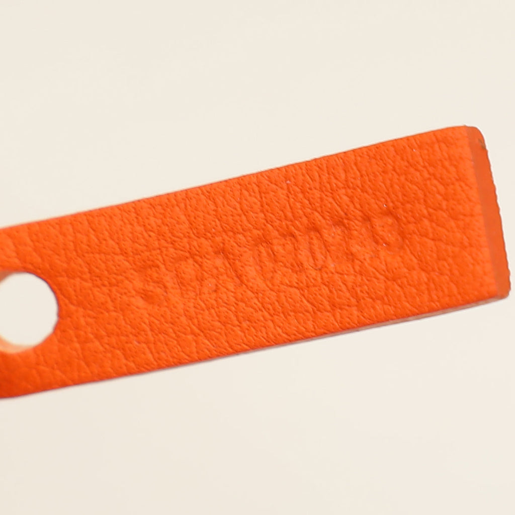 Goyard Orange Goyardine Mini Anjou Reversible Bag