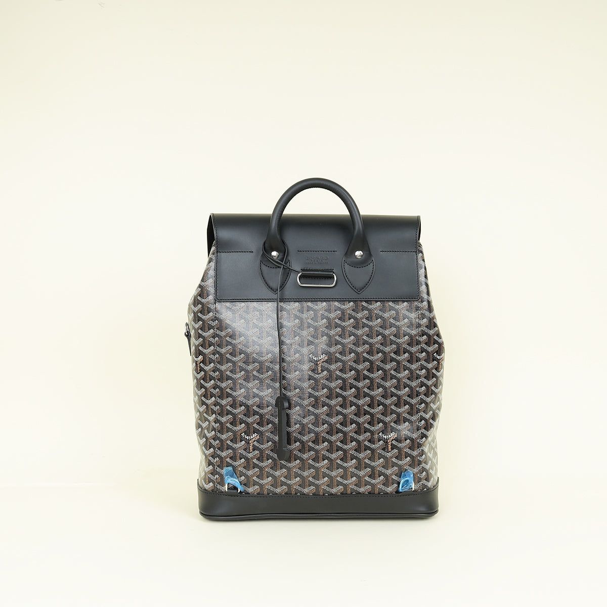 Goyard Black Goyardine Alpin MM Backpack Bag
