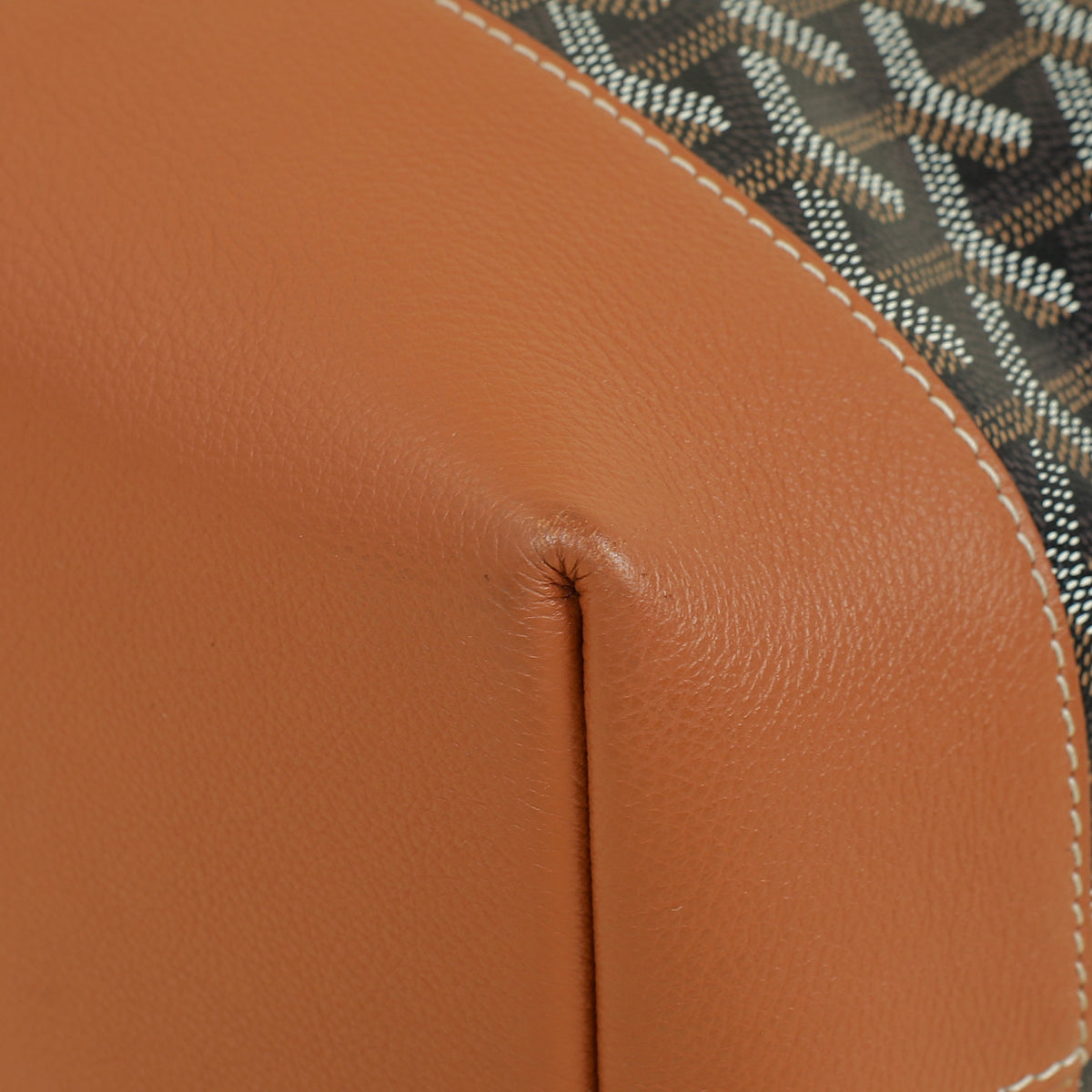 Goyard Bicolor Goyardine Cisalpin Backpack Bag