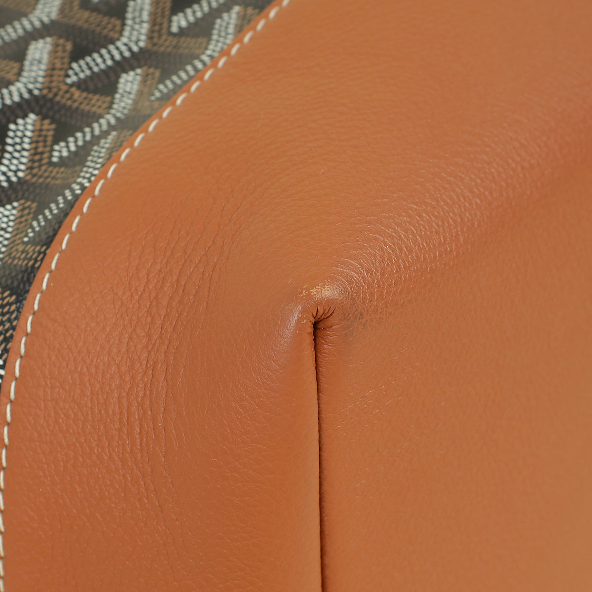 Goyard Bicolor Goyardine Cisalpin Backpack Bag