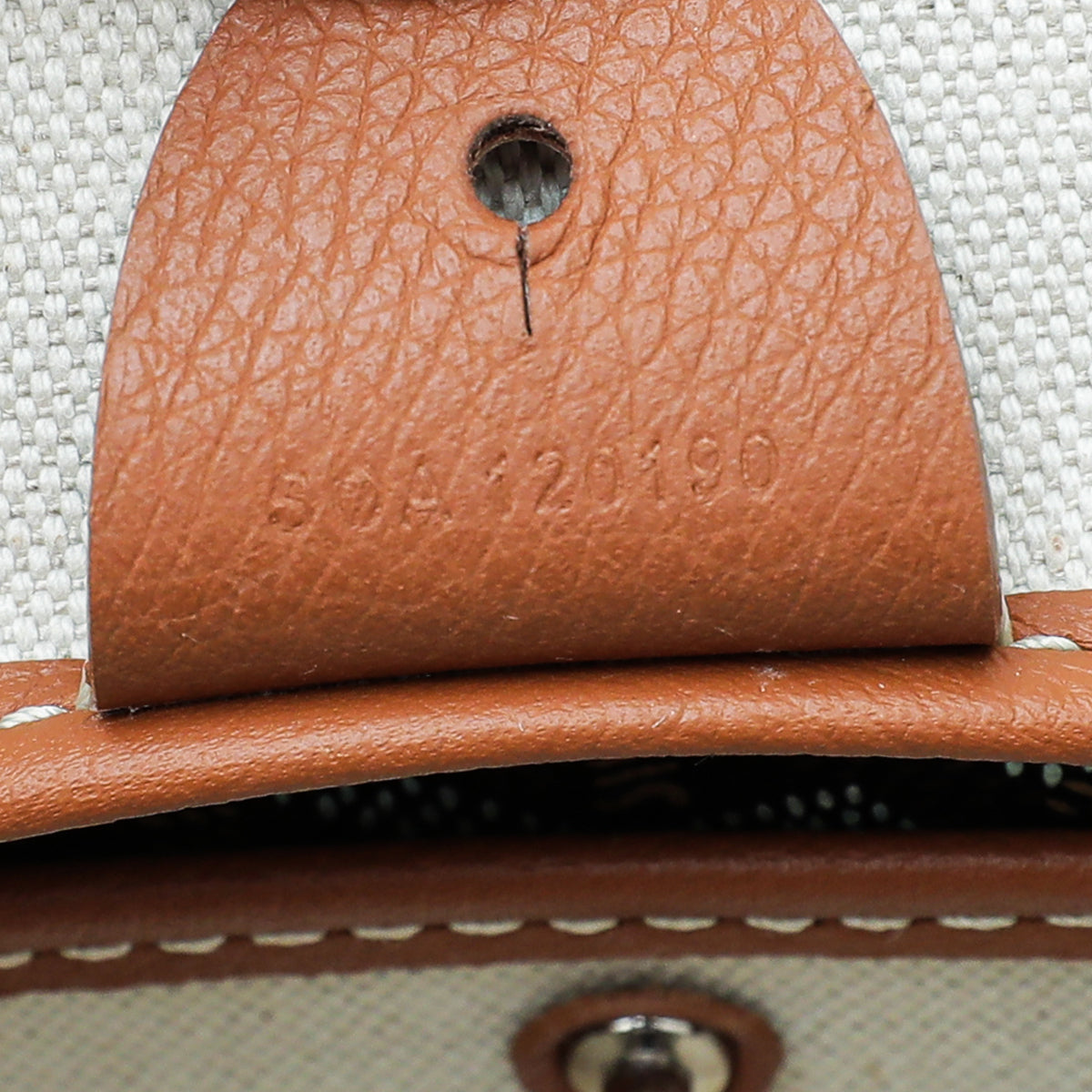 Goyard Bicolor Goyardine Artois Super Dog PM Bag