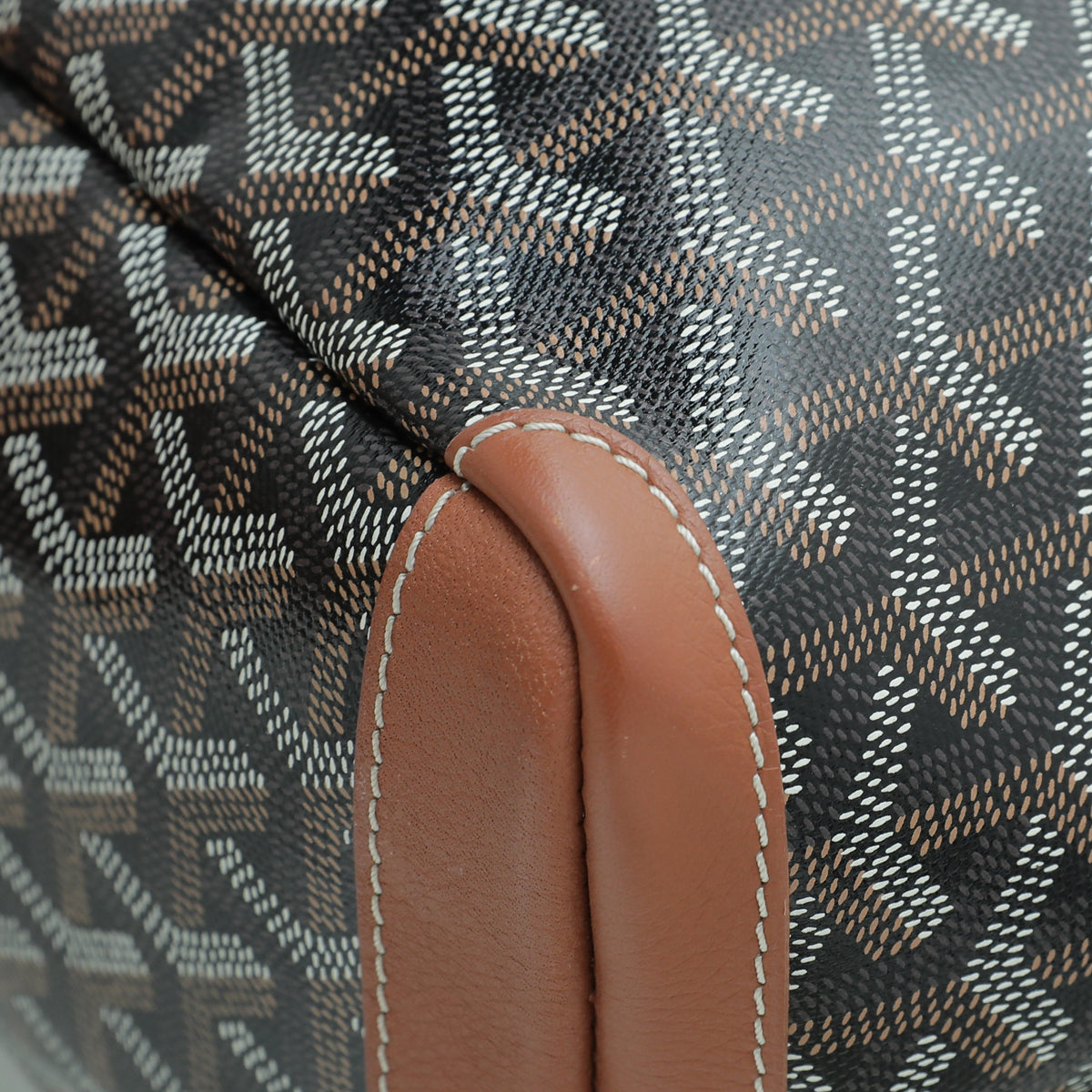 Goyard Bicolor Goyardine Artois Super Dog PM Bag
