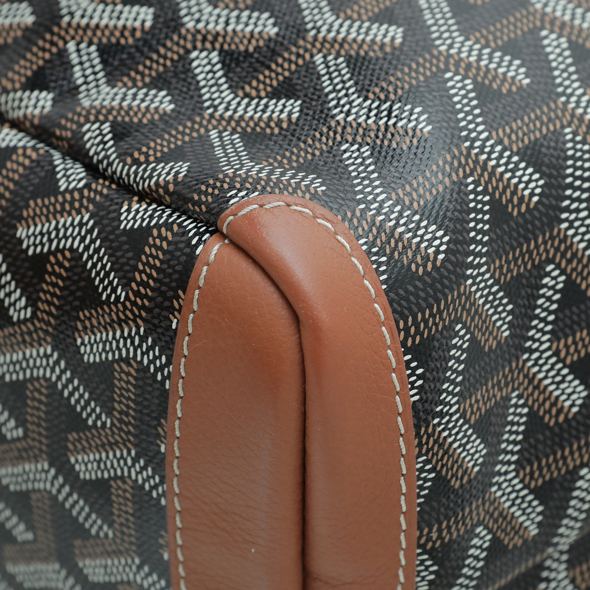 Goyard Bicolor Goyardine Artois Super Dog PM Bag
