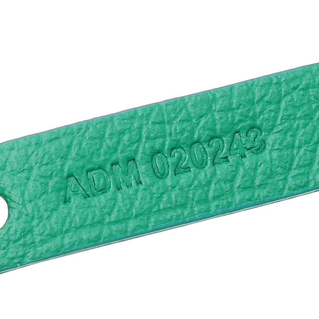 Goyard Green Goyardine Saint Louis PM Bag