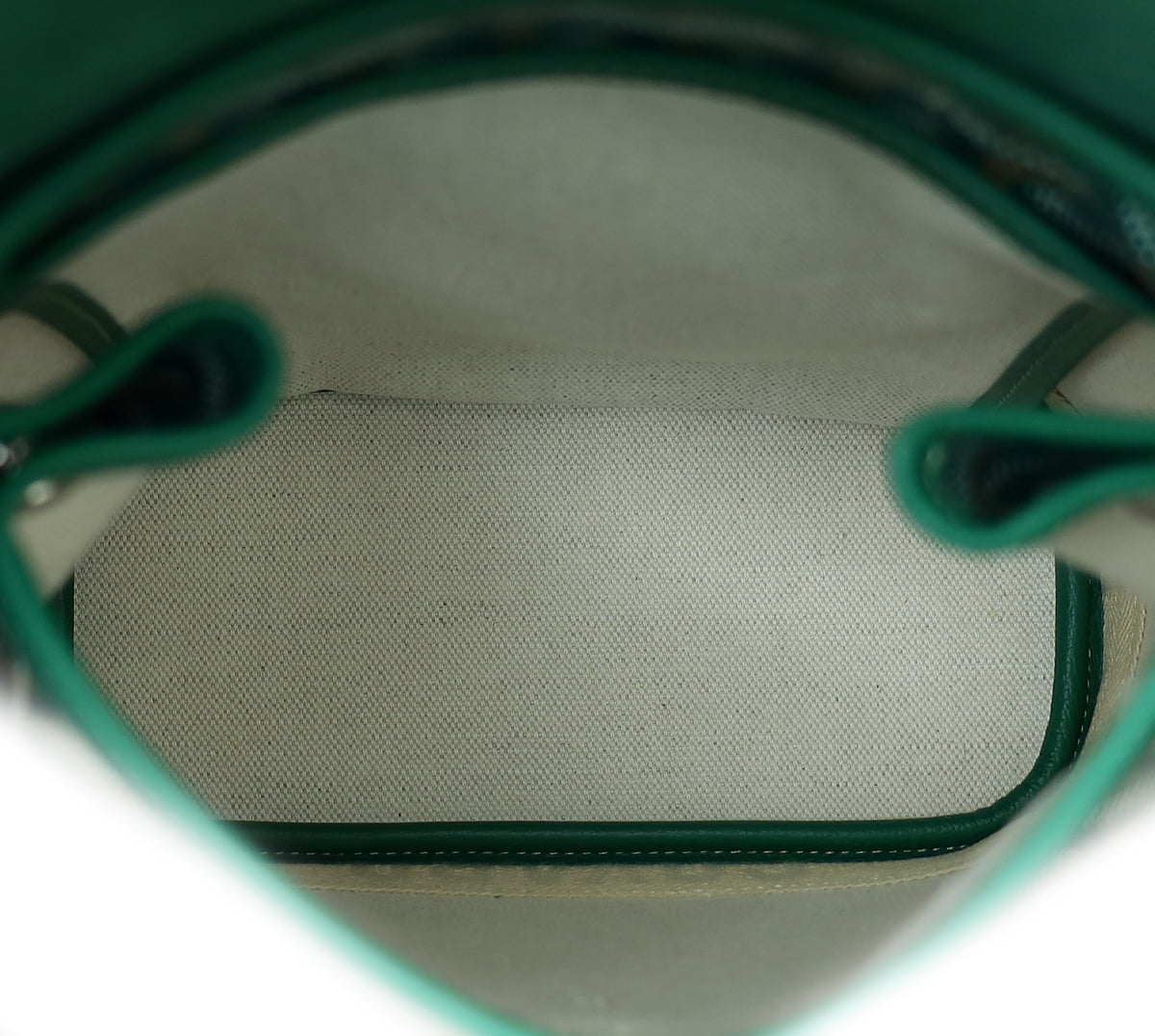 Goyard Green Goyardine Sac Alpin Mini Backpack Bag