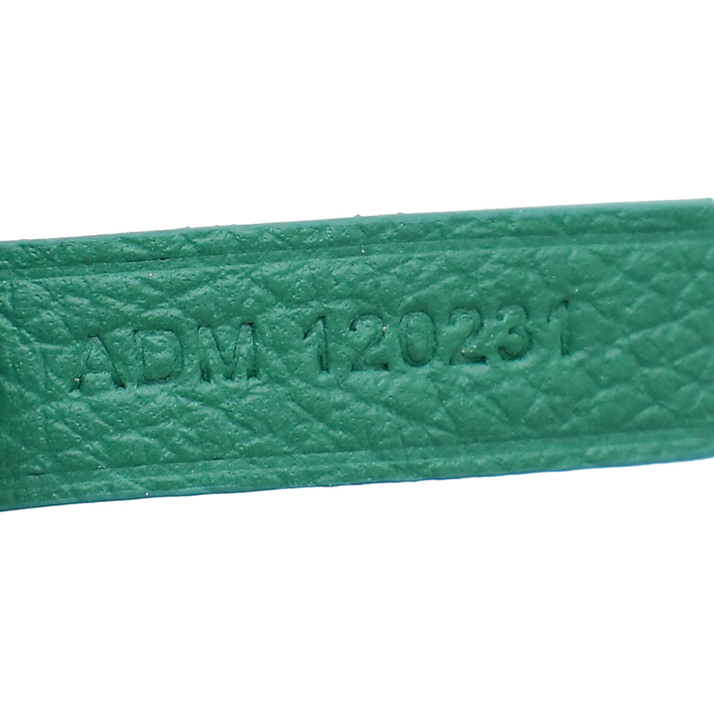 Goyard Green Goyardine Saint Louis PM Bag