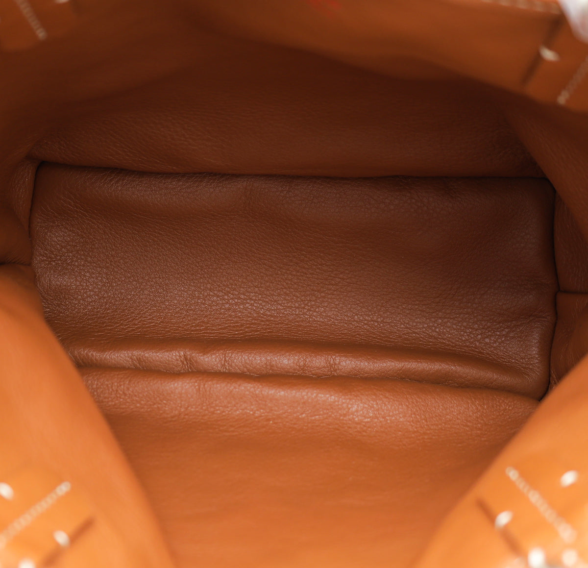 Goyard Bicolor Goyardine Reversible Anjou Mini Bag