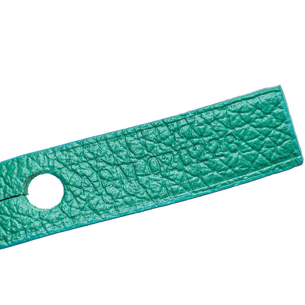 Goyard Green Goyardine Saint Louis PM Bag