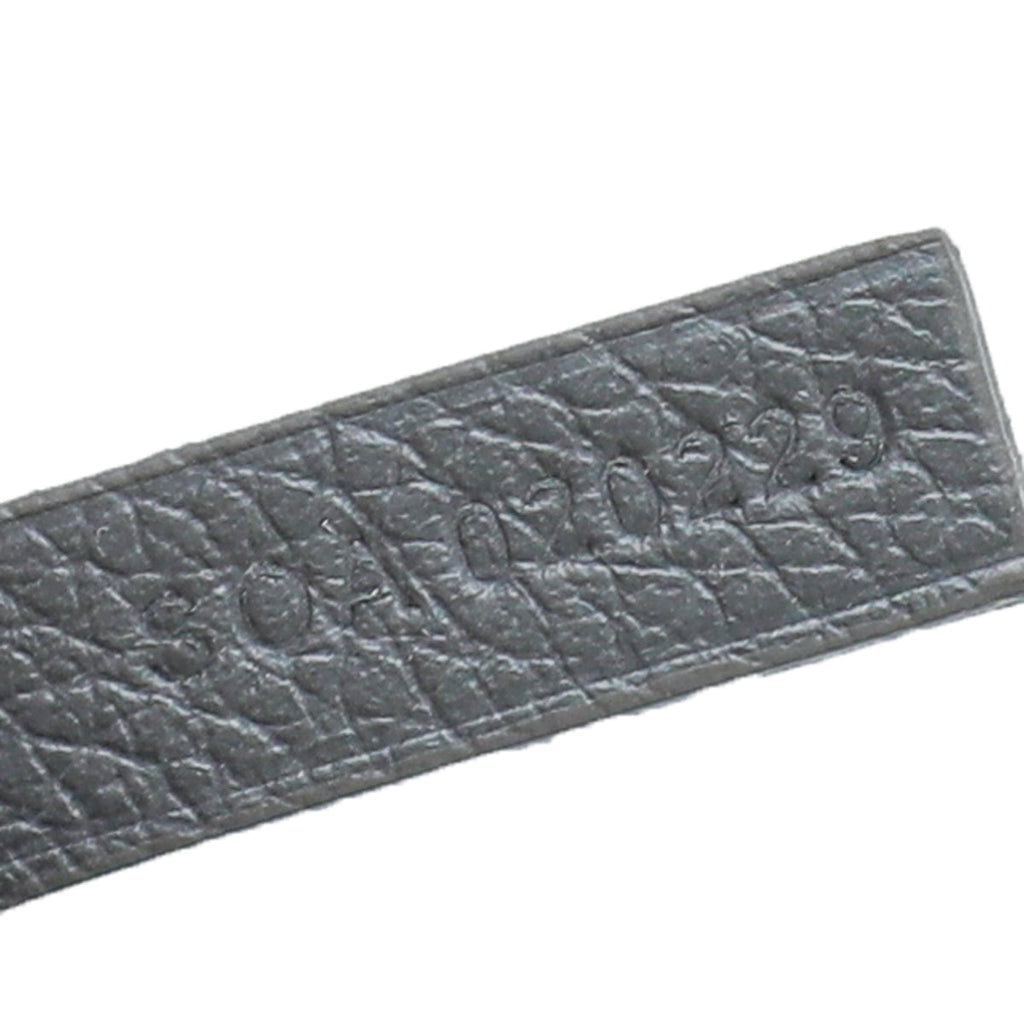 Goyard Grey Goyardine Saint Louis PM Bag