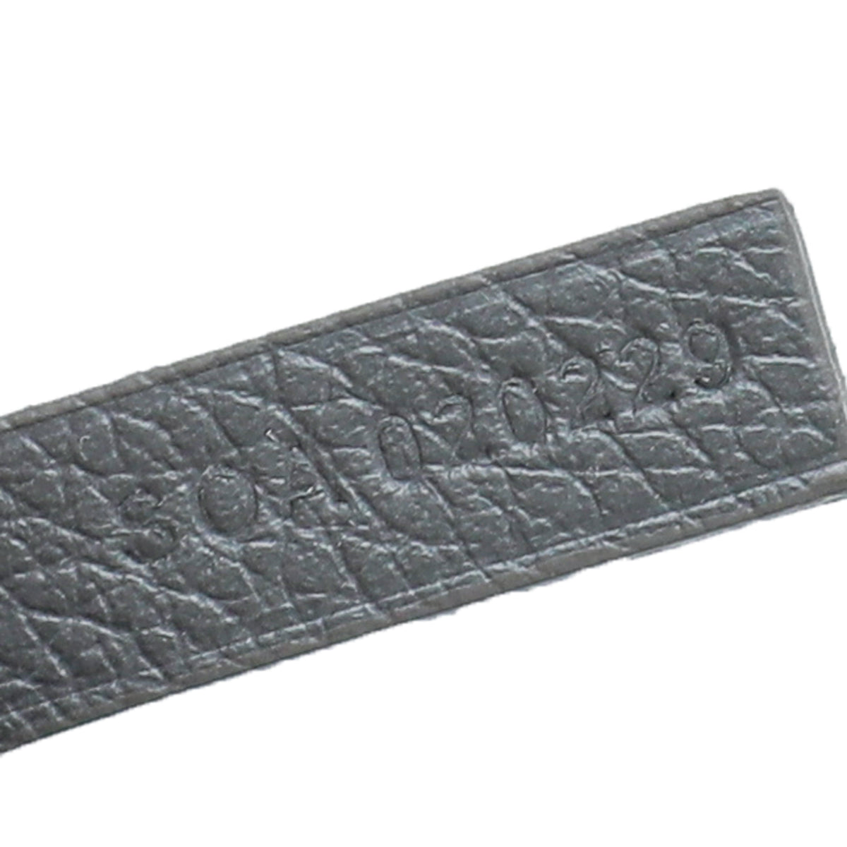 Goyard Grey Goyardine Saint Louis PM Bag