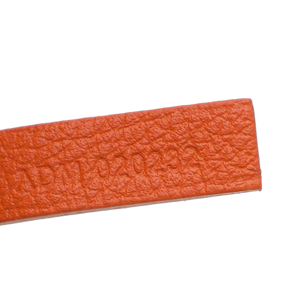 Goyard Orange Saint Louis PM Bag