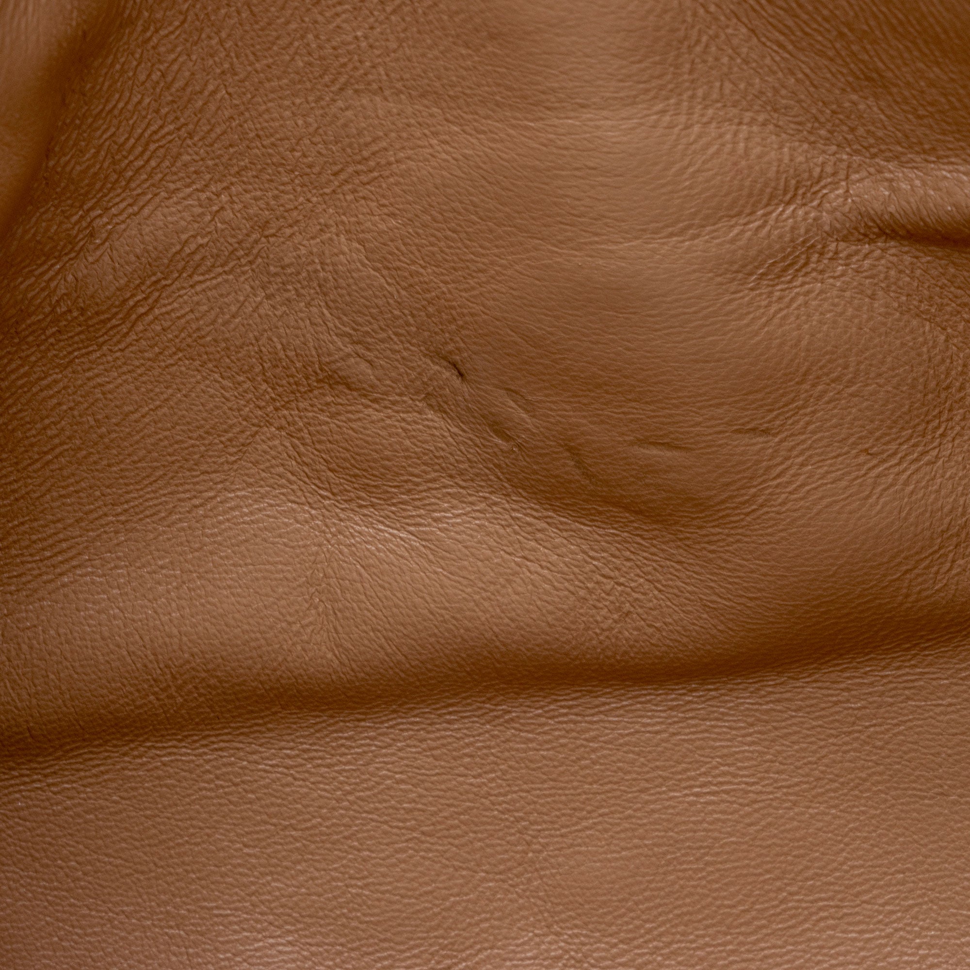 Gucci Calfskin Tiger Broadway Mini Shoulder Bag