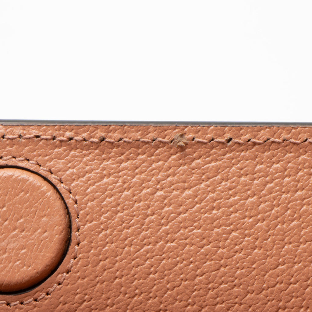 Gucci GG Canvas Ophidia Medium Chain Shoulder Bag