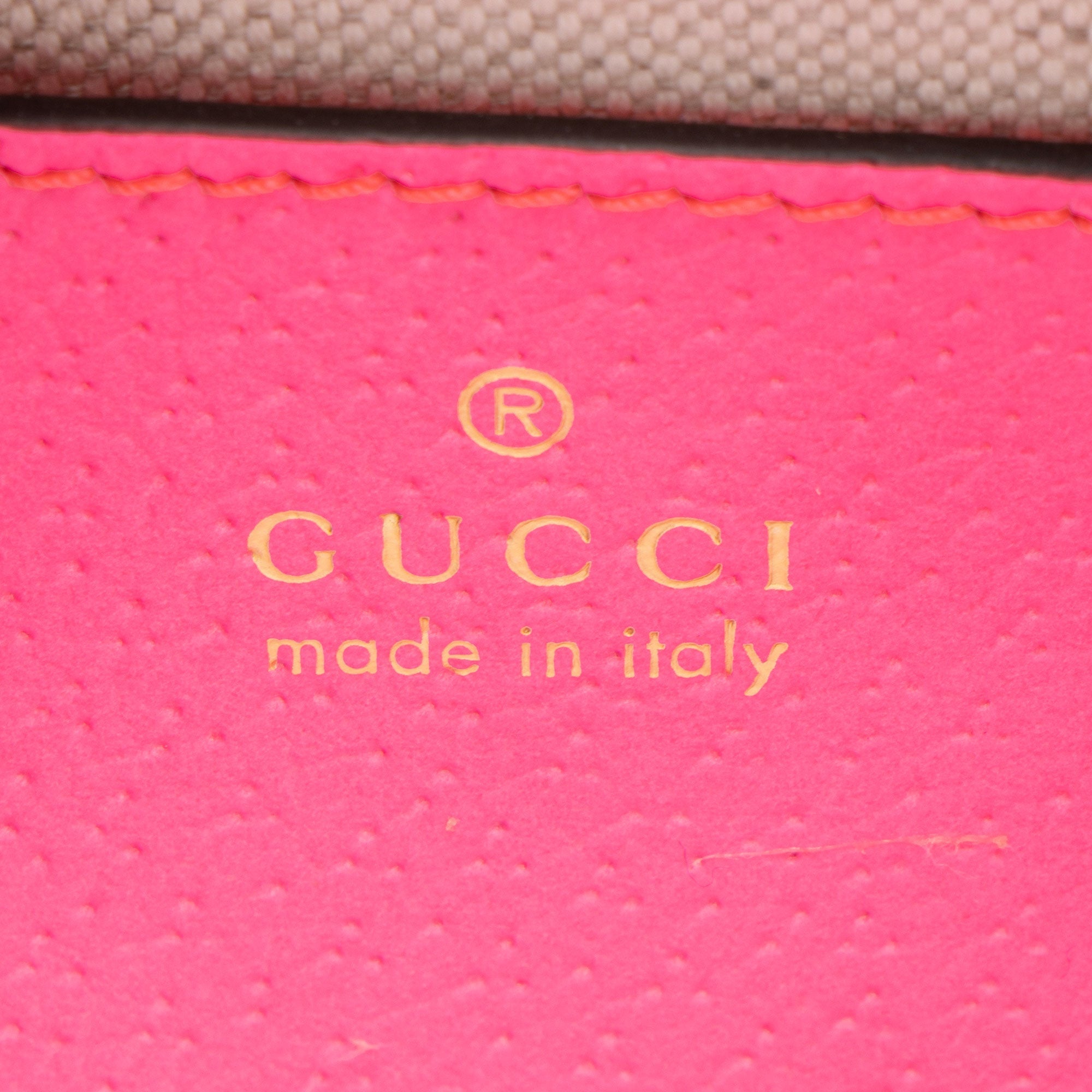 Gucci GG Supreme Ophidia Web Small Camera Bag