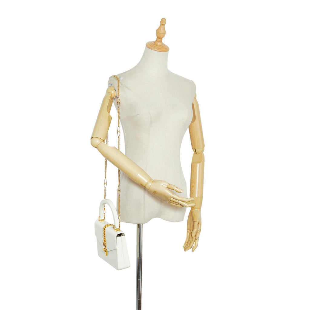 Gucci Mini Plexiglass Sylvie 1969 (SHG-RffcW2)