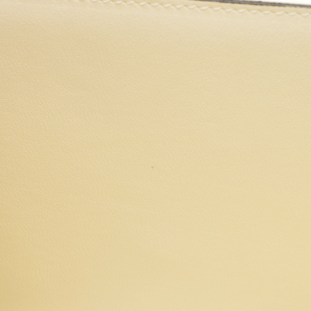 Gucci Plexiglass Sylvie 1969 Mini Top Handle (SHF-a361PU)