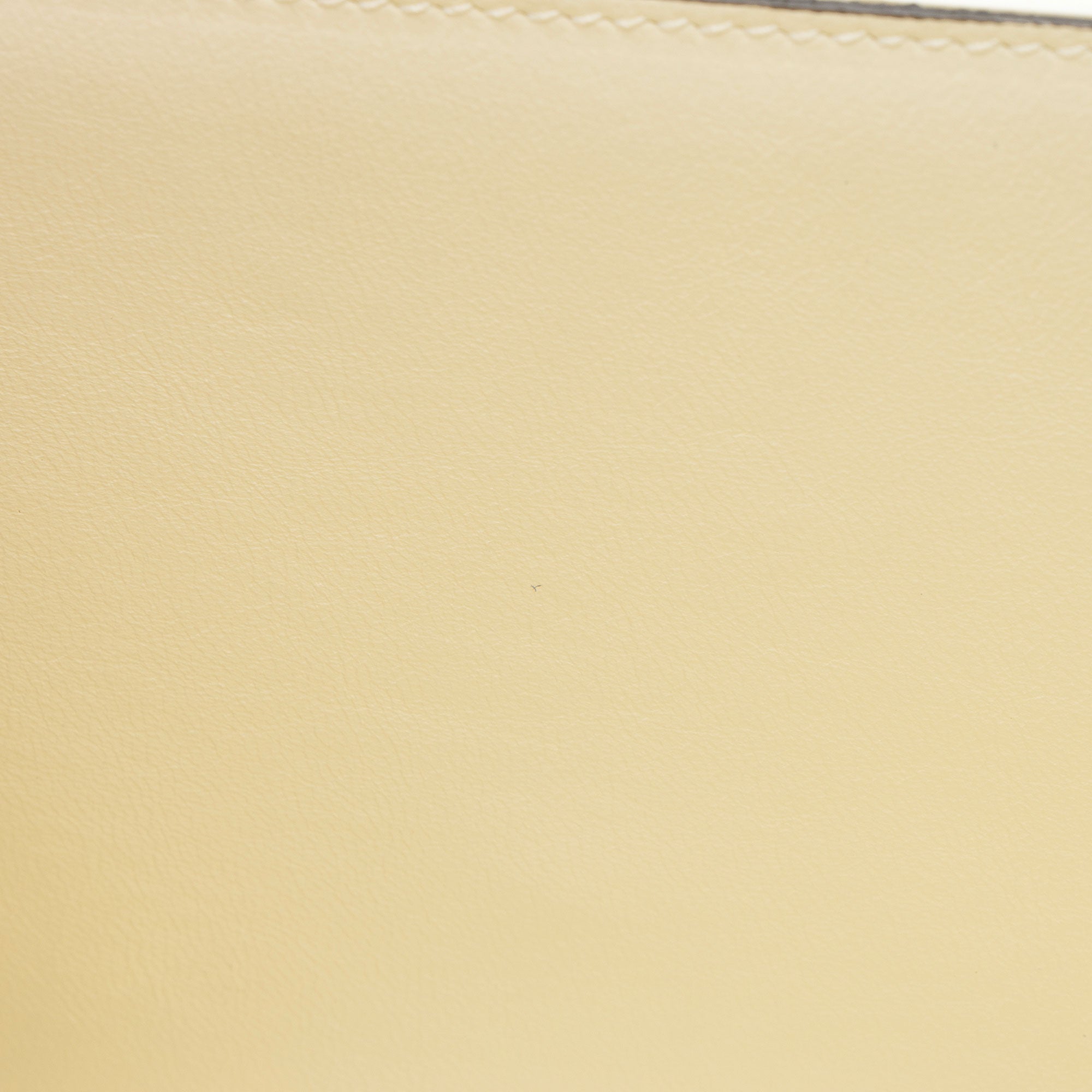 Gucci Plexiglass Sylvie 1969 Mini Top Handle (SHF-a361PU)