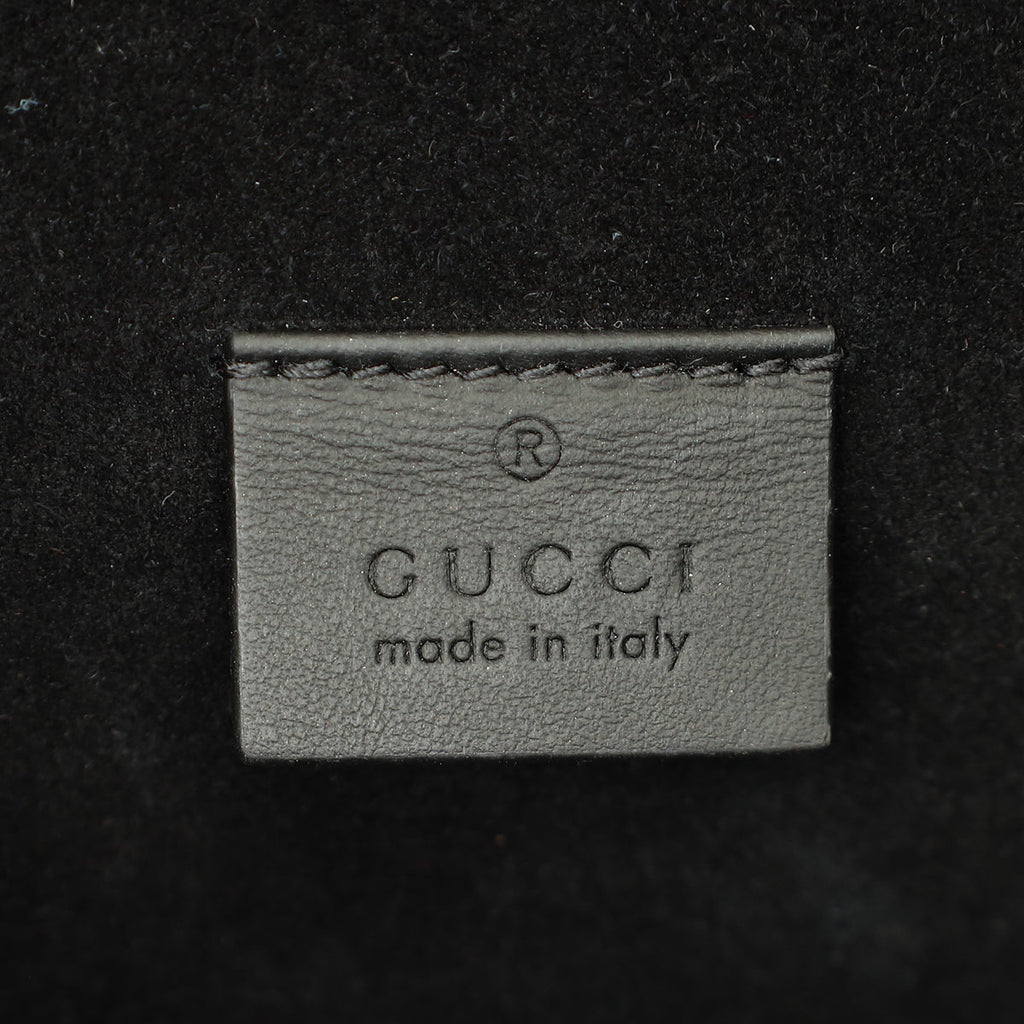 Gucci Bicolor GG Supreme Dionysus Flap Bag