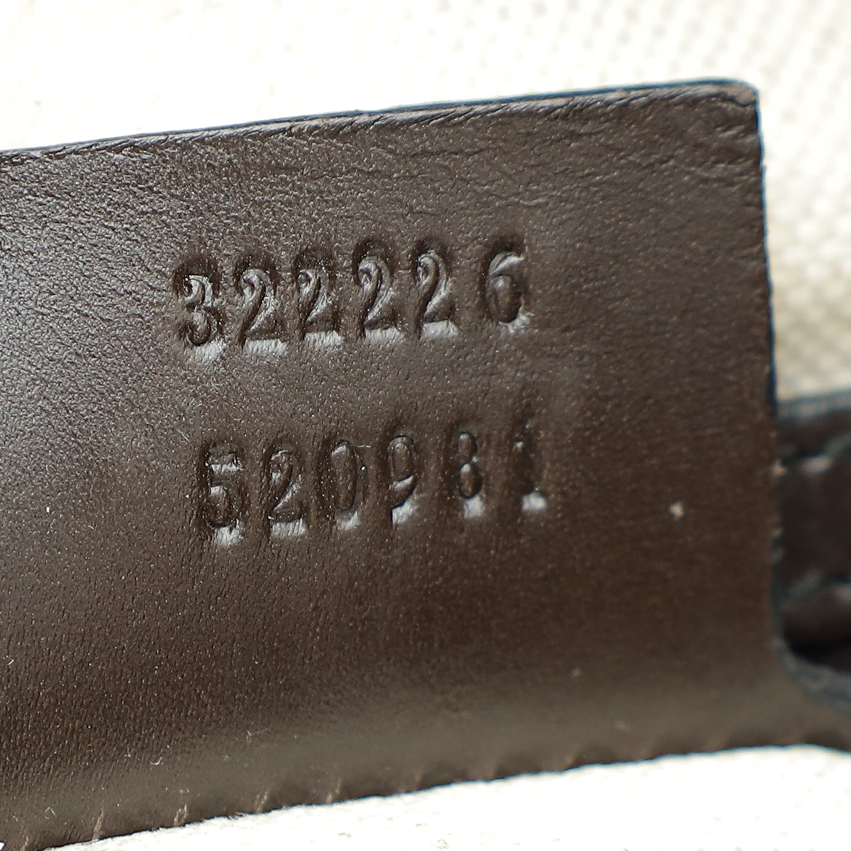 Gucci Bicolor GG Emily Hobo Bag