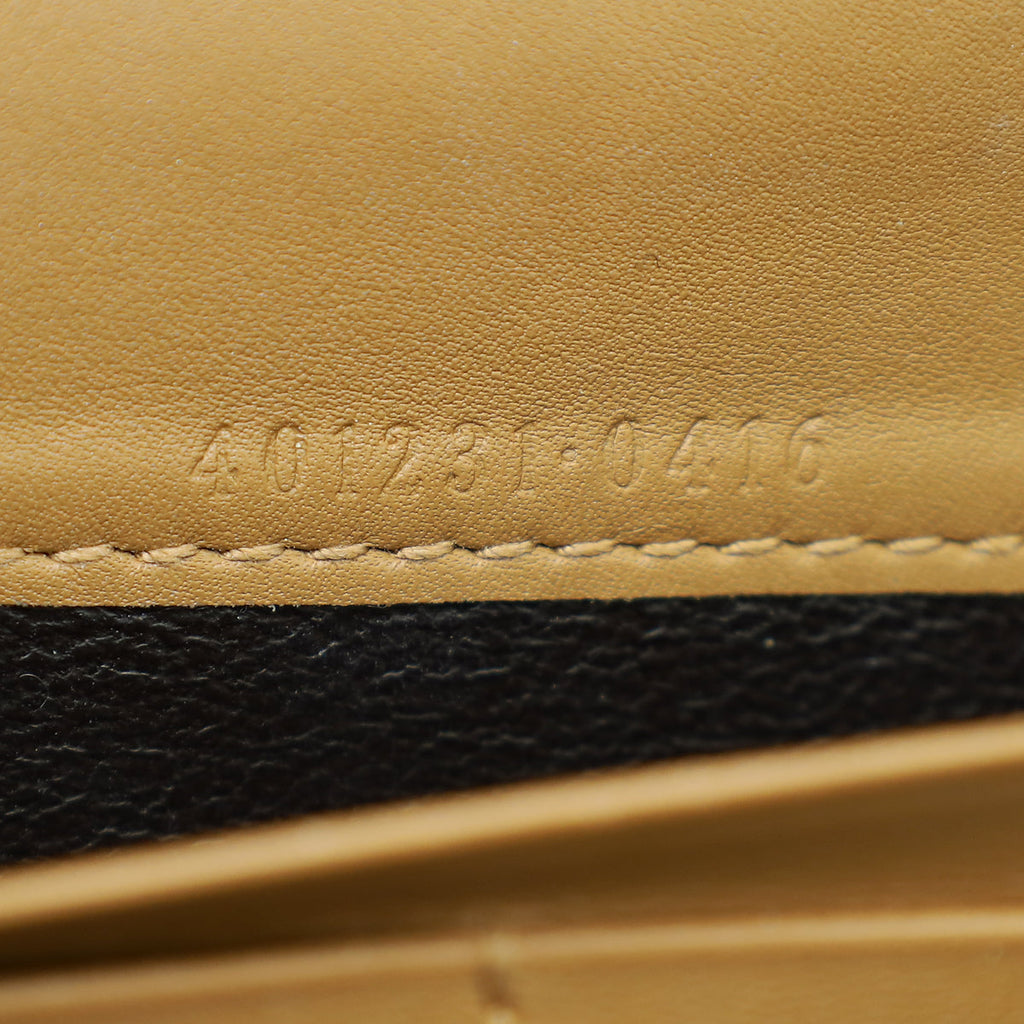 Gucci Bicolor Python Dionysus Mini Chain Bag