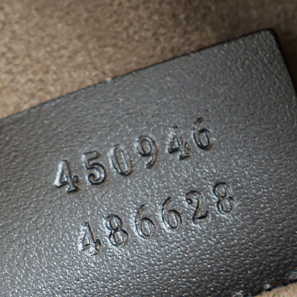 Gucci Tricolor GG Supreme Eden Belt Bag