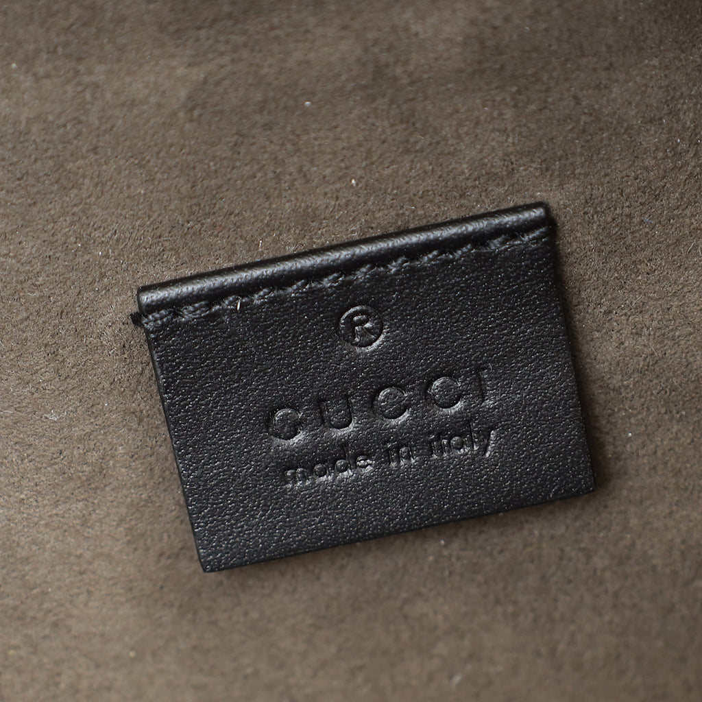 Gucci Tricolor GG Supreme Eden Belt Bag