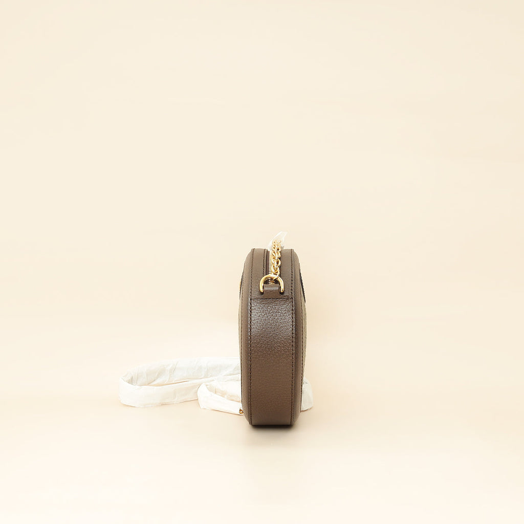 Gucci Bicolor Ophidia Round Shoulder Bag