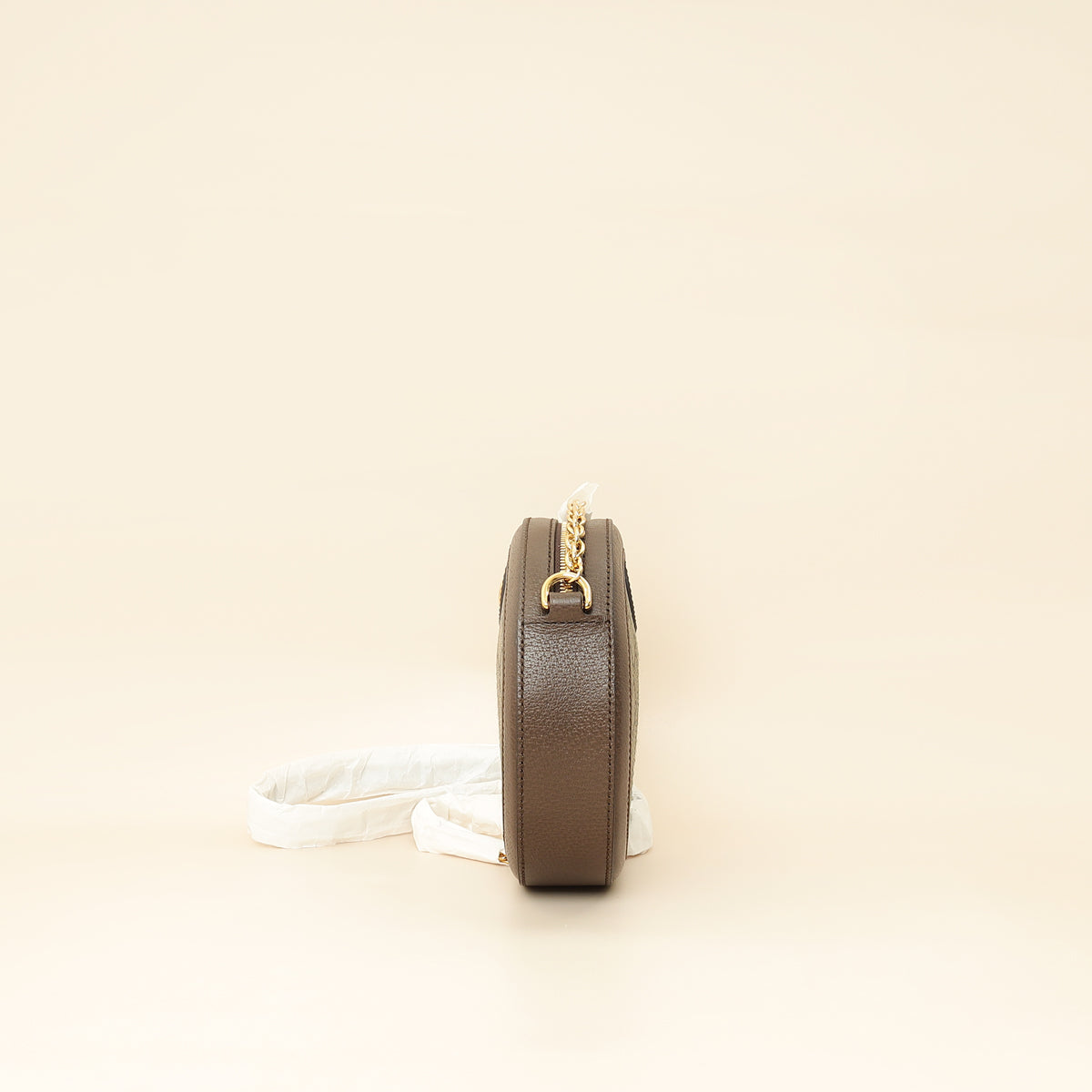 Gucci Bicolor Ophidia Round Shoulder Bag