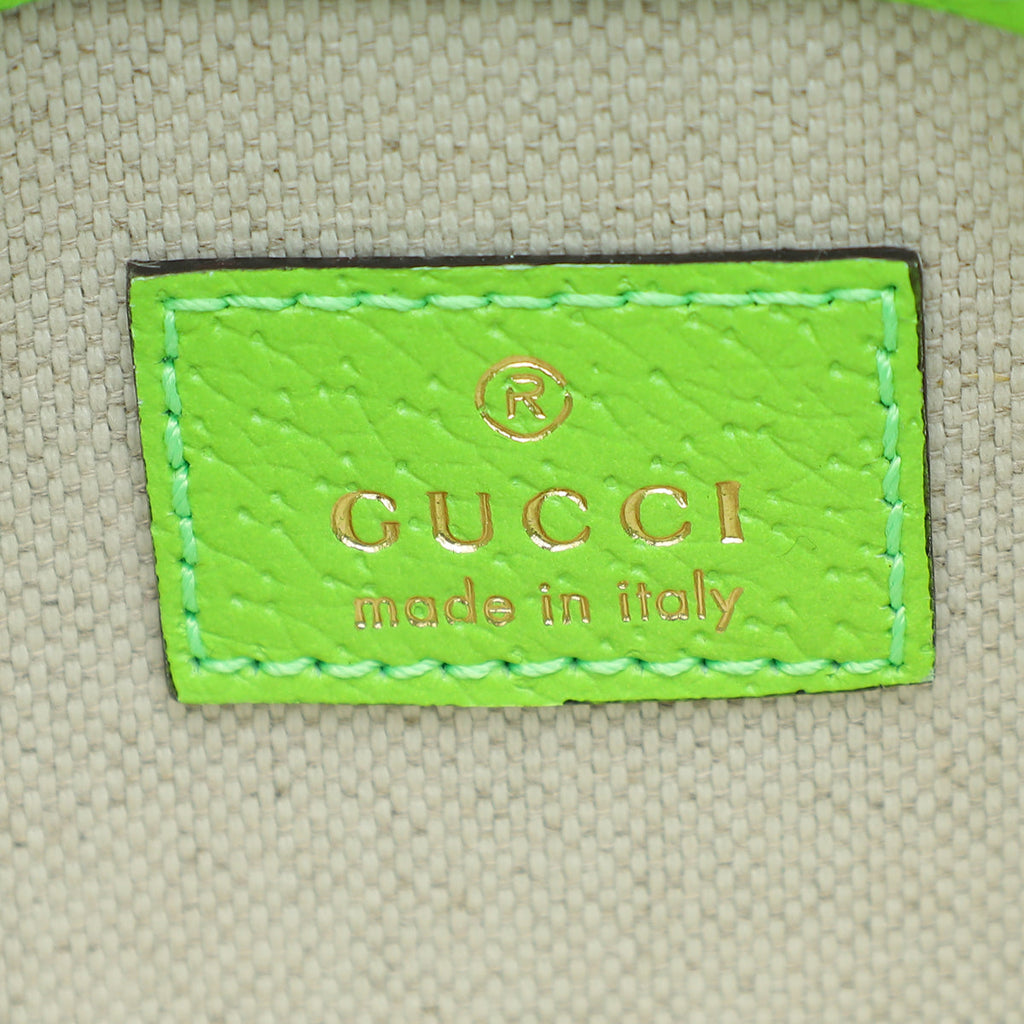 Gucci Bicolor Ophidia Small Belt Bag