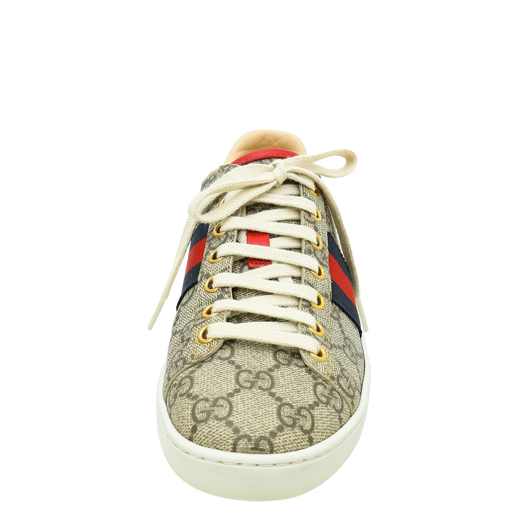 Gucci Multicolor GG Supreme Web Ace Sneakers 36