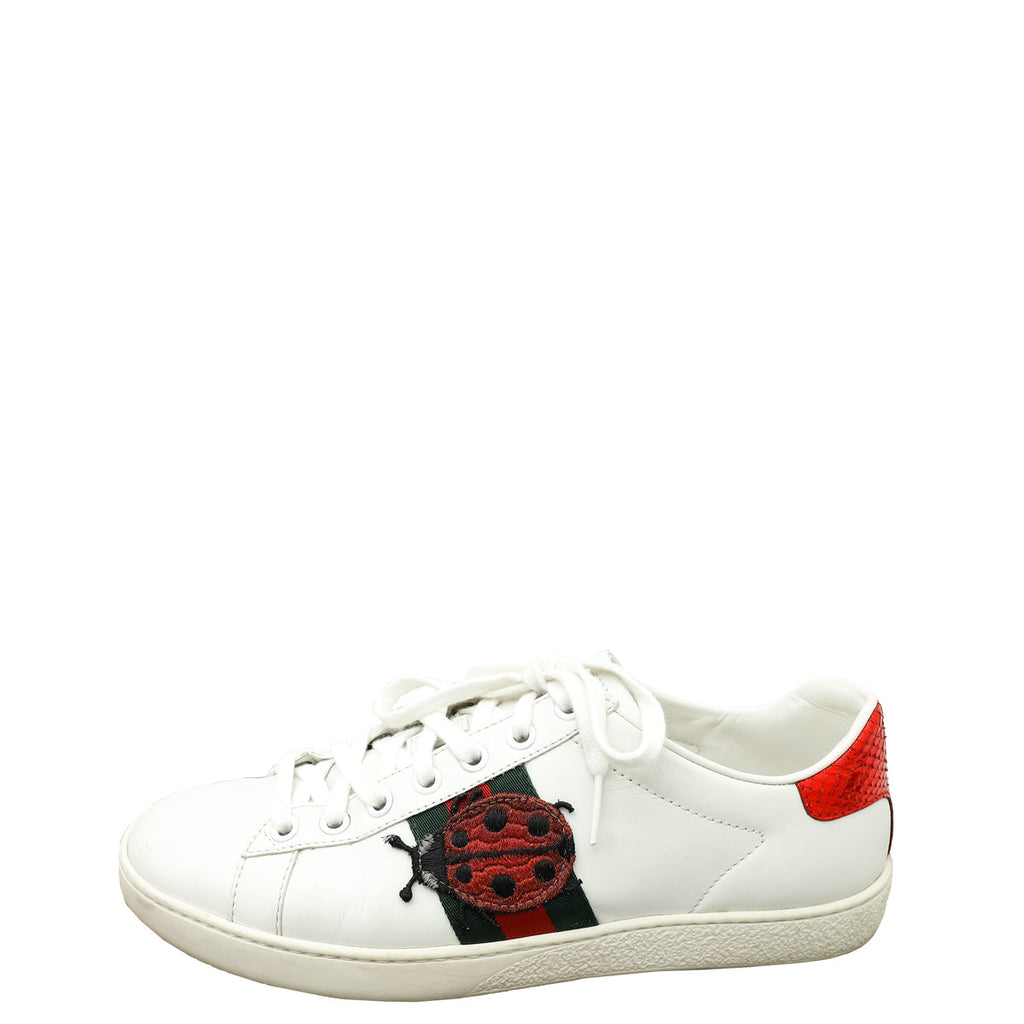 Gucci White Ace Pineapple x Ladybug Embroidered Sneakers 37