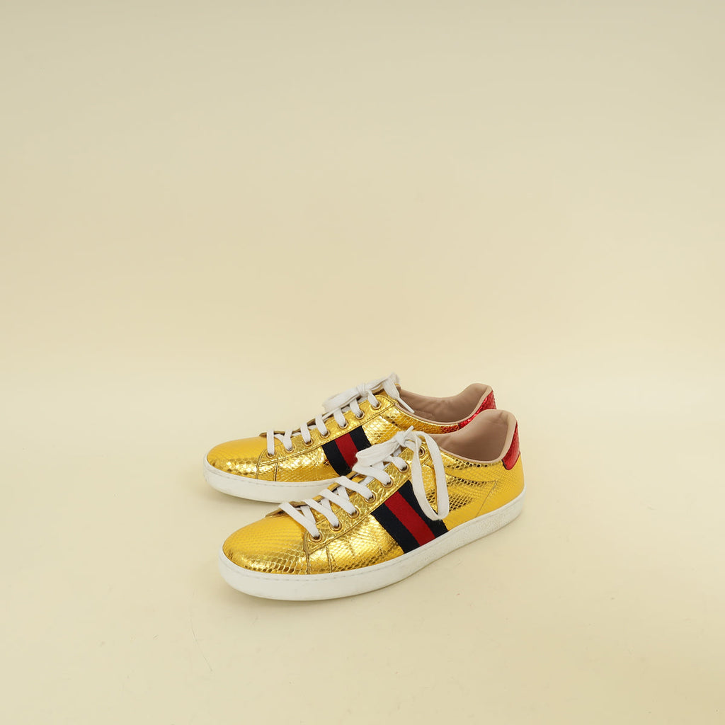Gucci Bicolor Python Ace Sneaker 39.5