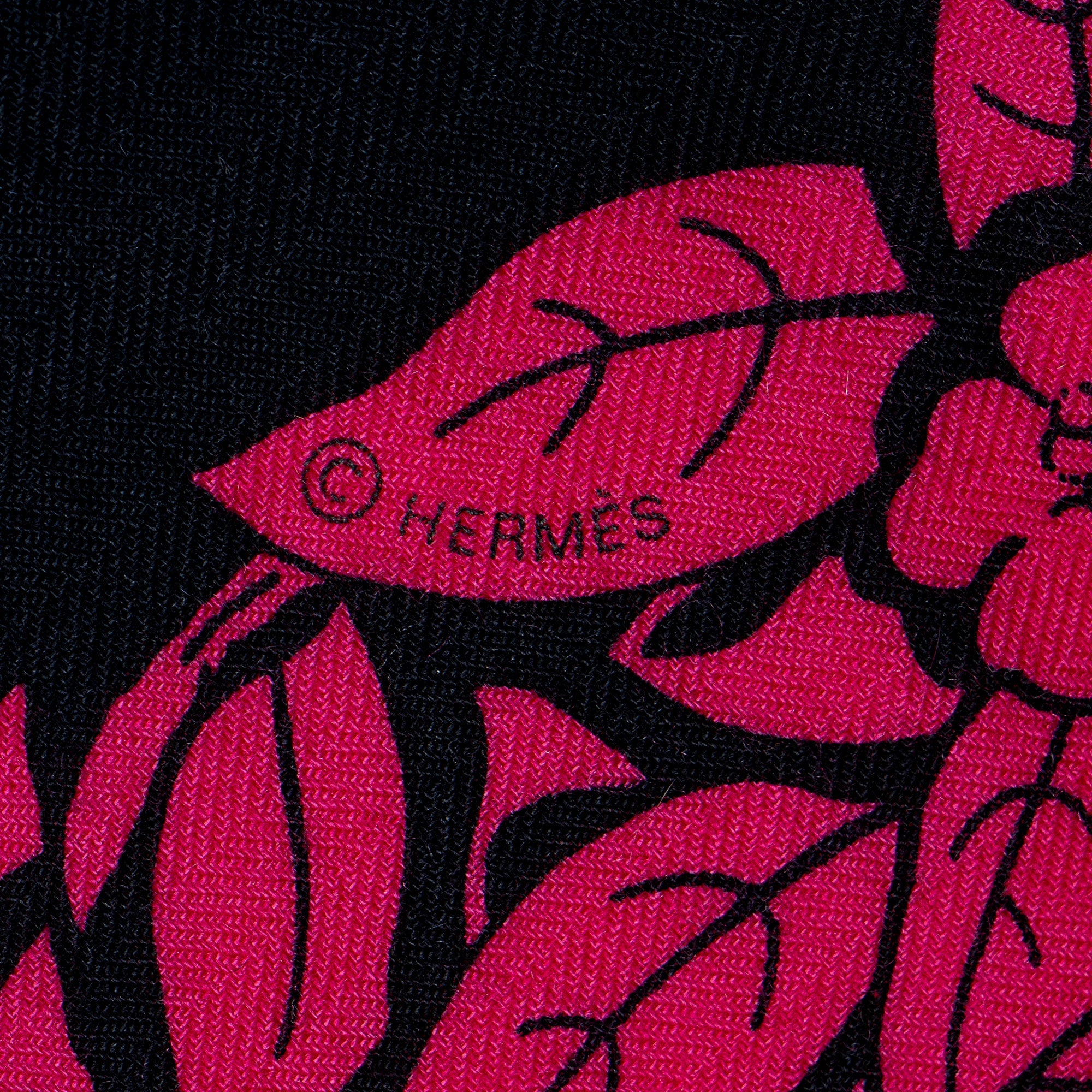 Hermes Cashmere Silk Jungle Love 140cm Shawl