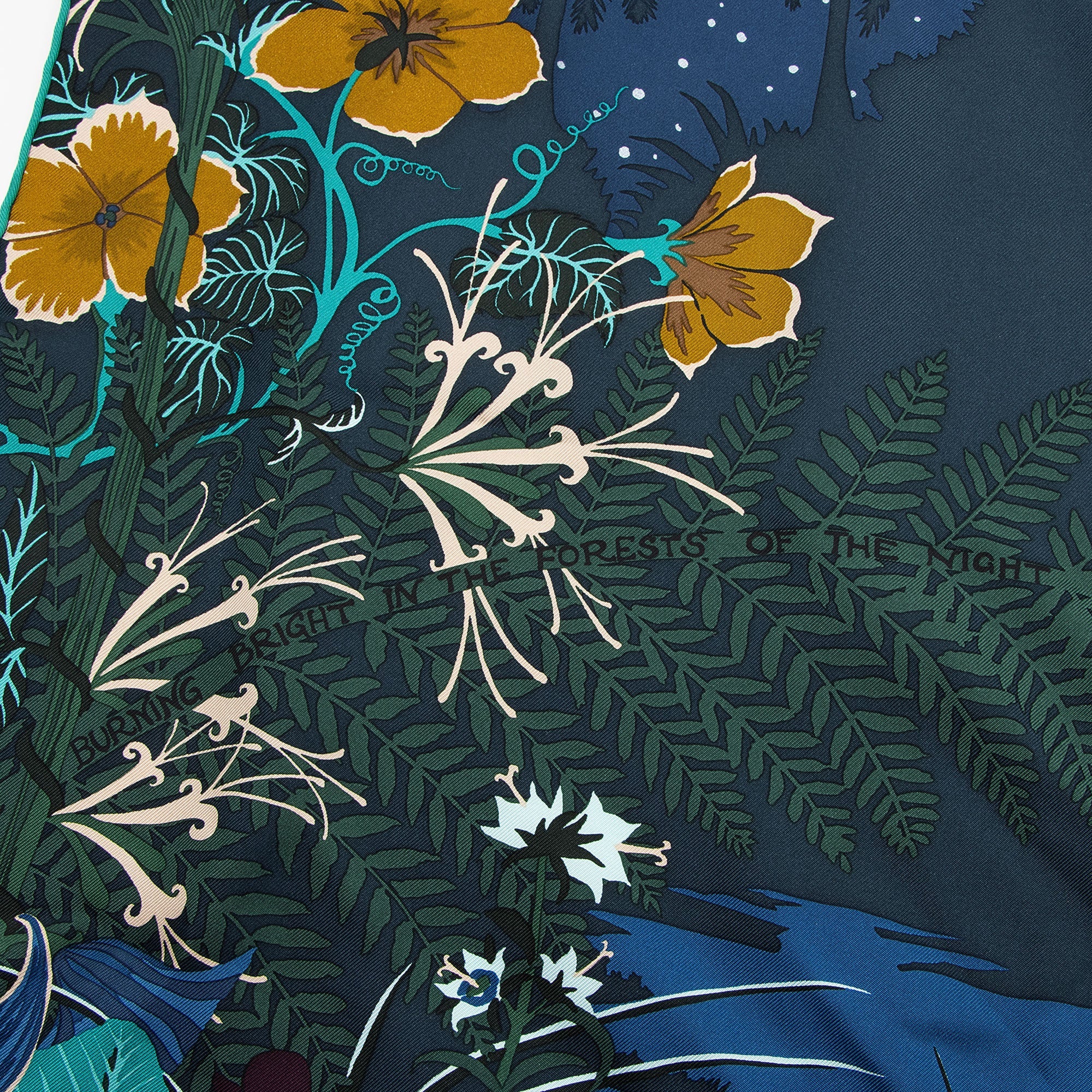 Hermes Silk Tyger Tyger 90cm Scarf