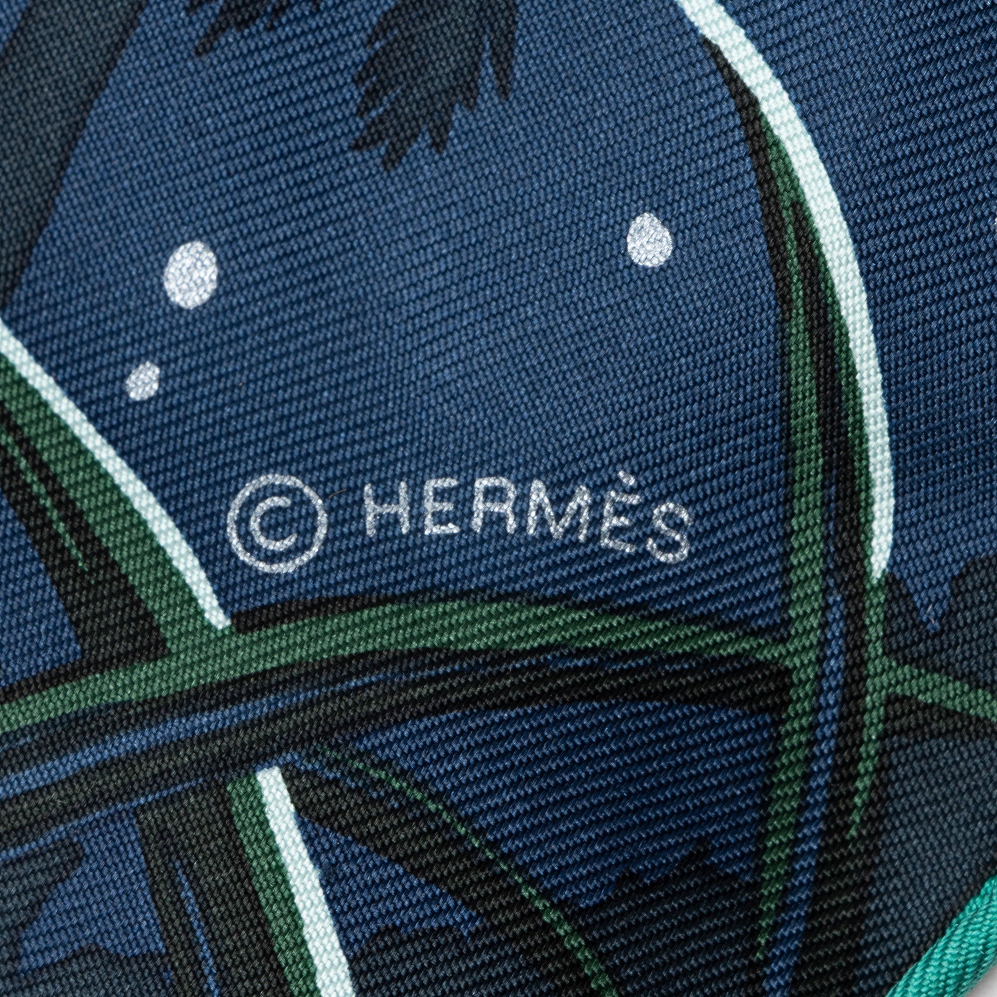 Hermes Silk Tyger Tyger 90cm Scarf
