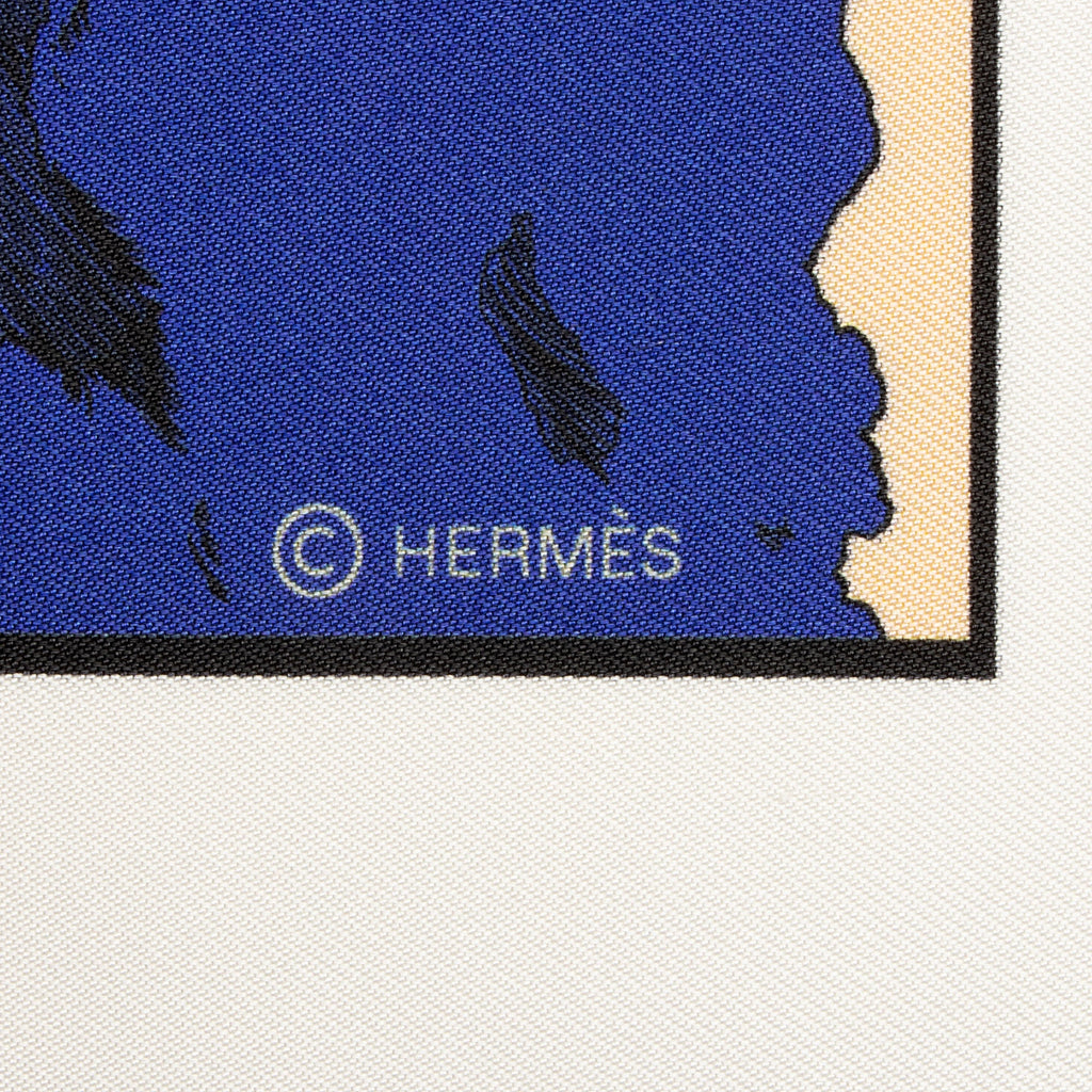 Hermes Silk Wow Double Face 90cm Scarf