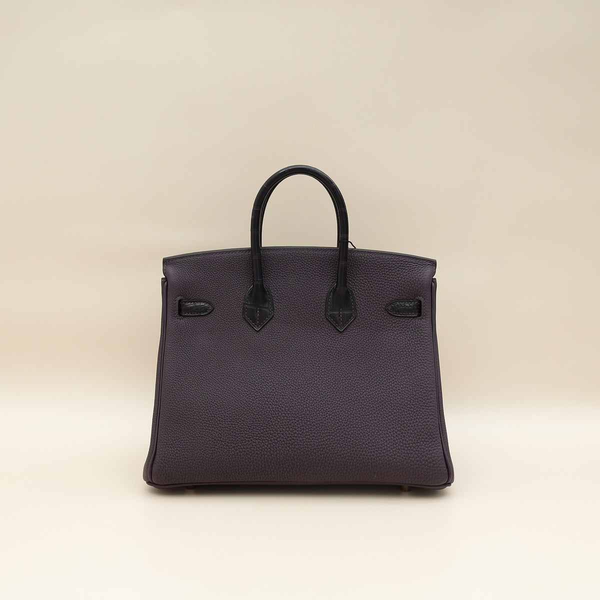 Hermes Bicolor Birkin Touch 25 Bag