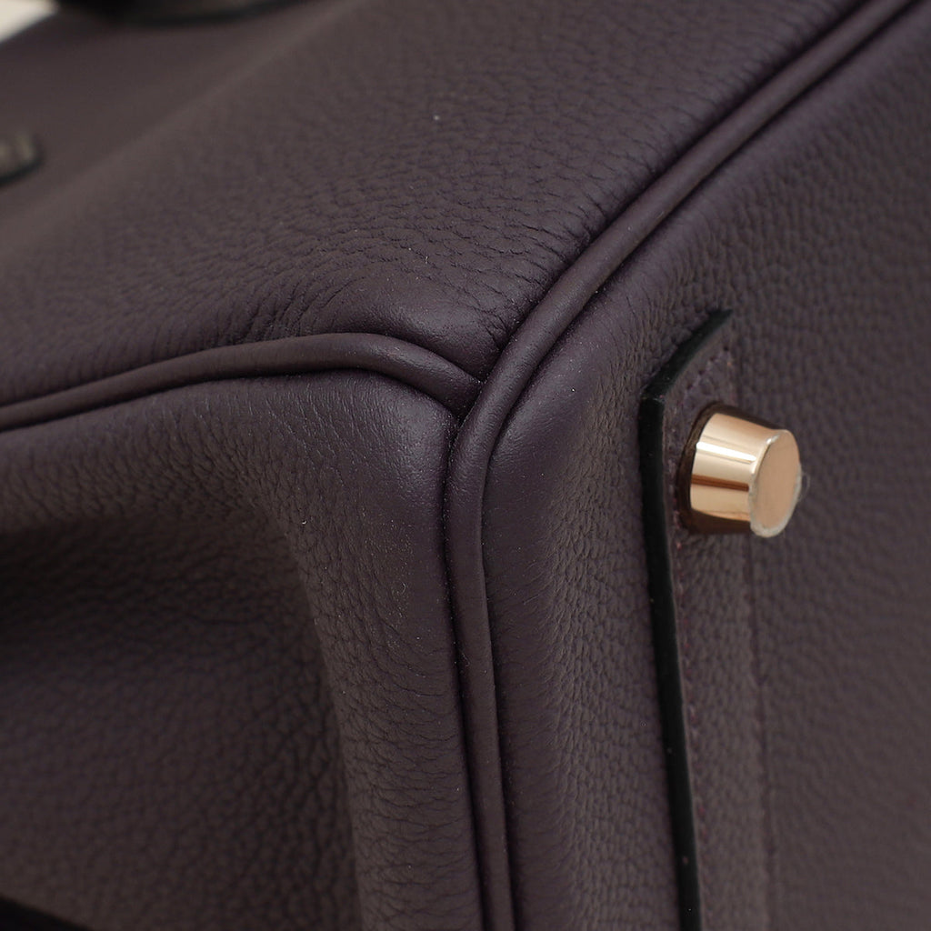 Hermes Bicolor Birkin Touch 25 Bag
