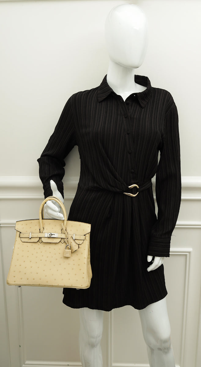 Hermes Parchemin Ostrich Birkin 25 Bag