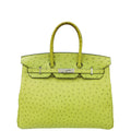 Hermes Vert Anise Ostrich Birkin 35 Bag