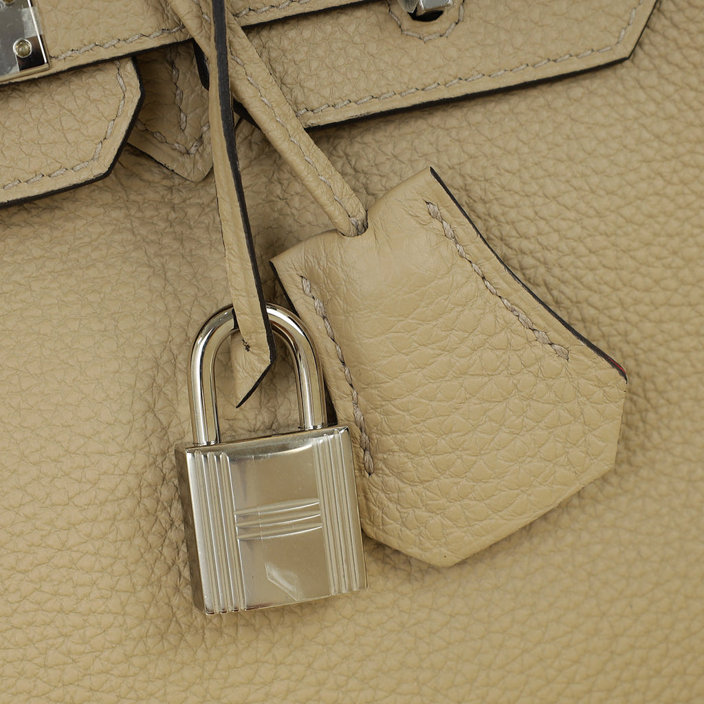 Hermes Bicolor Verso Birkin 25 Bag