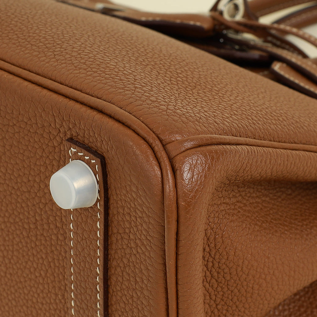 Hermes Gold Birkin 25 Togo Bag