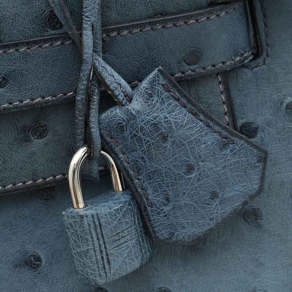 Hermes Bleu Roi Ostrich Sellier Kelly 28 Bag