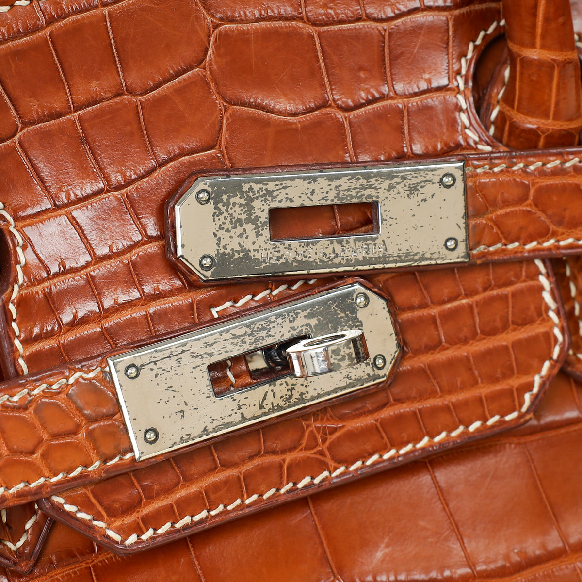 Hermes Fauve Niloticus Crocodile Birkin 30 Bag