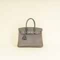 Hermes Gris Agate Ostrich Verso Birkin 30 Bag