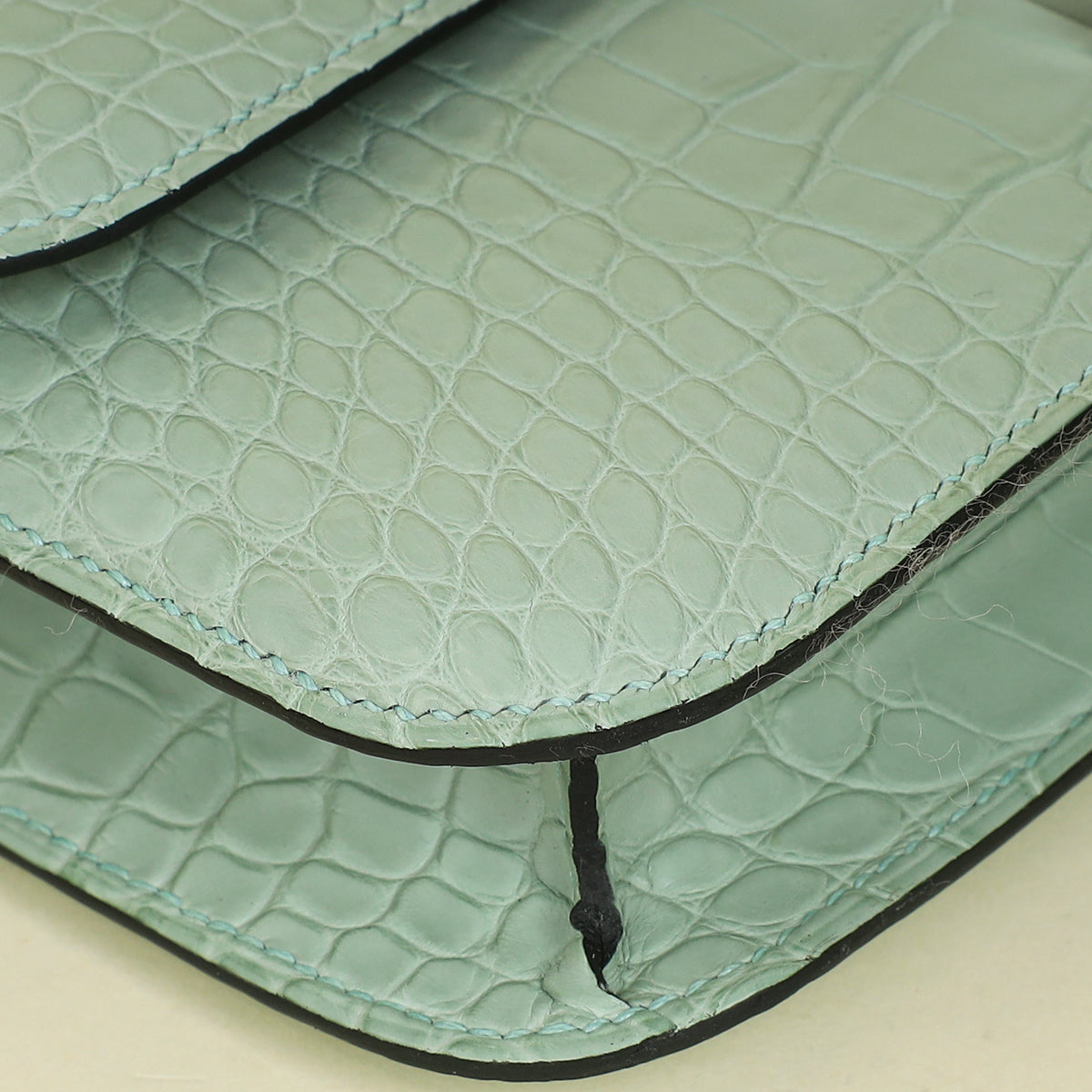 Hermes Vert D'ea Constance Elan Matte Mississippiensis Alligator Bag