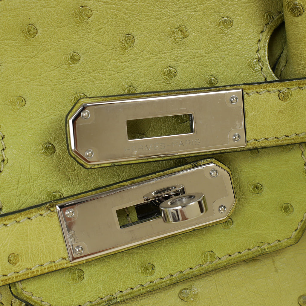 Hermes Vert Anise Birkin 30 Bag