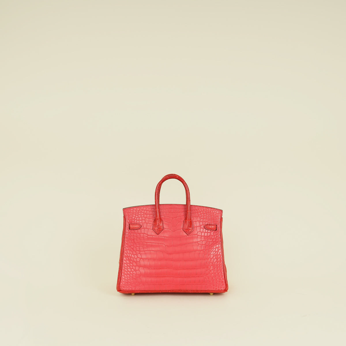Hermes Bi-Color Matte Alligator Mississippiensis Birkin 25 Bag