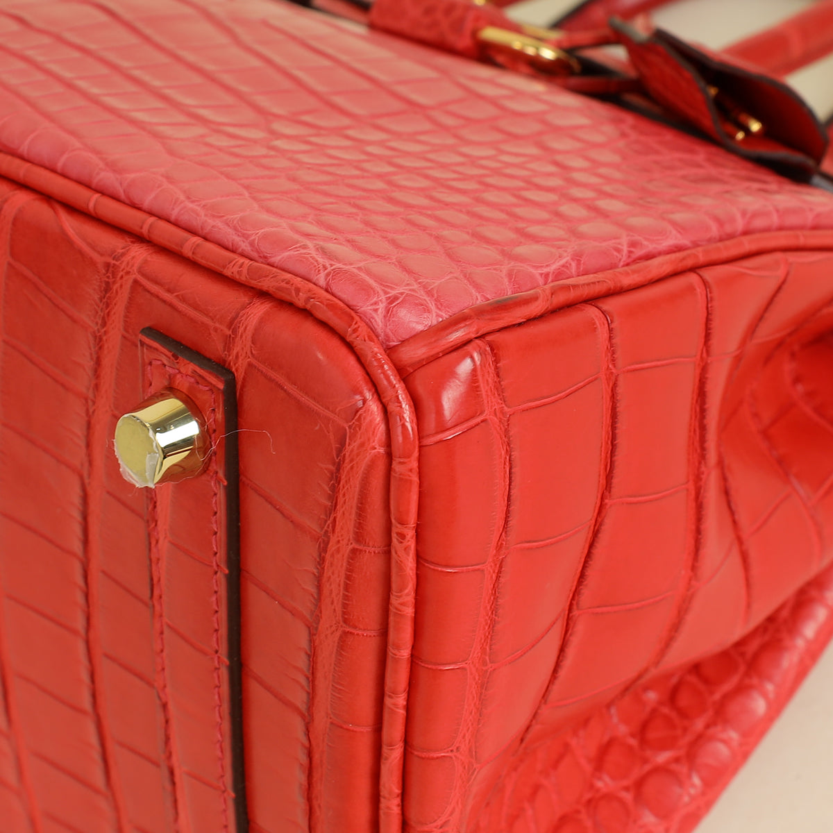 Hermes Bi-Color Matte Alligator Mississippiensis Birkin 25 Bag