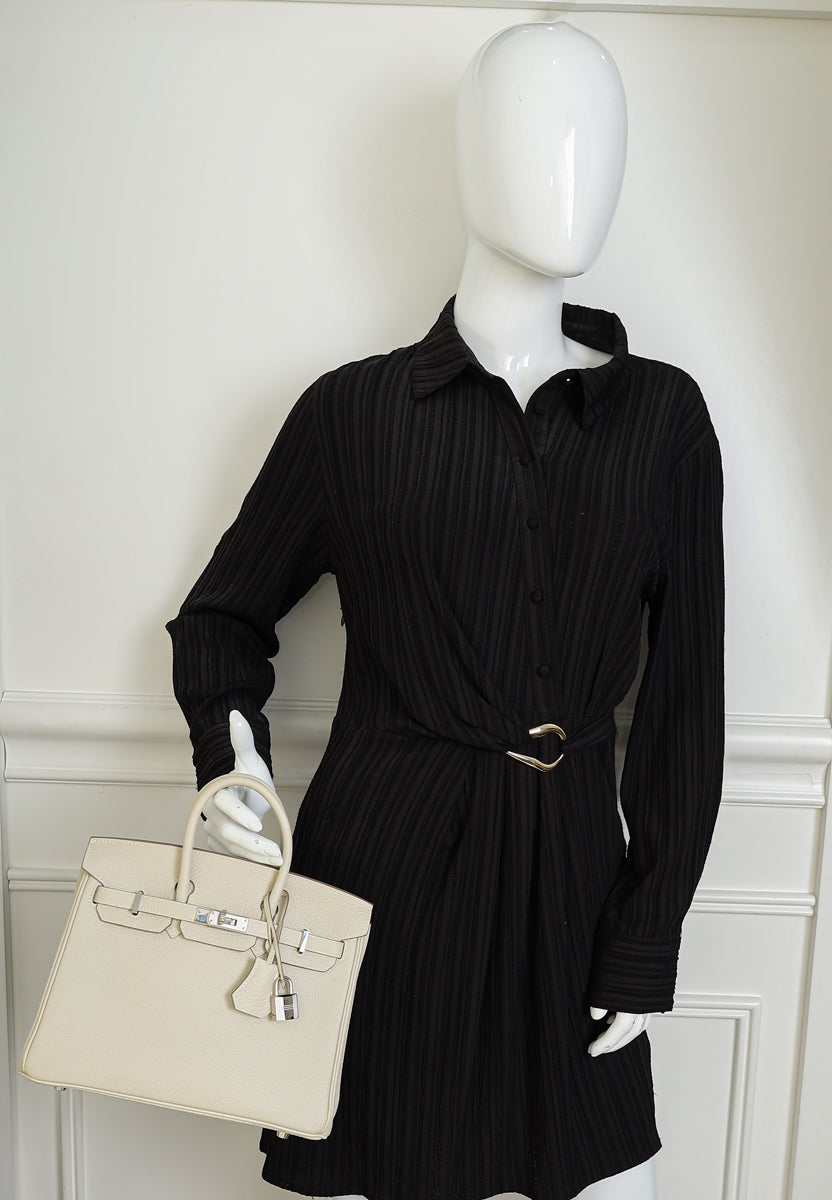 Hermes Craie Birkin 25 Bag